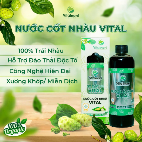 Nước Cốt Nhàu Vital 500ml (TD)